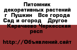Питомник декоративных растений г. Пушкин - Все города Сад и огород » Другое   . Карачаево-Черкесская респ.